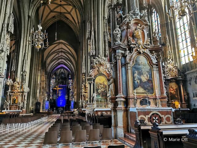 Fastentuch von Gottfried Helnwein, Stephansdom Wien