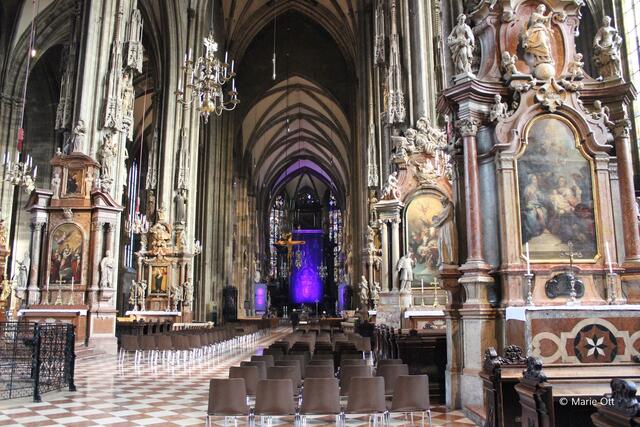 Fastentuch, Stephansdom, Gottfried Helnwein