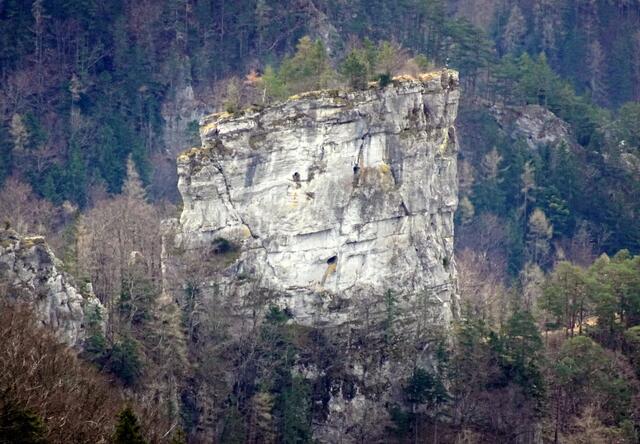Ausgiebige Runde in den Gutensteiner Alpen Auf die aussichtsreiche