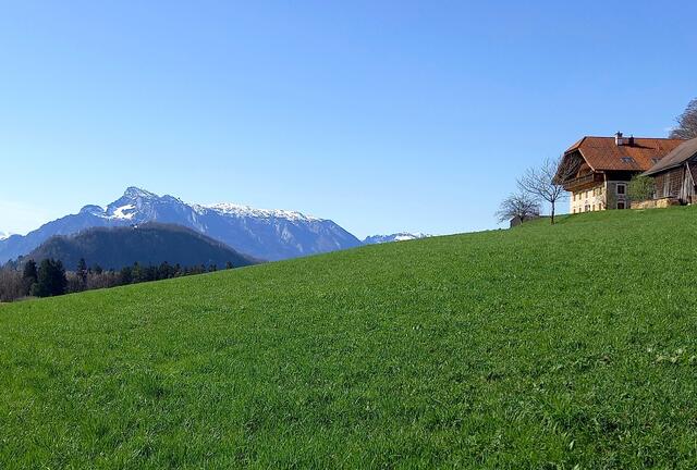 Foto: H.Bachinger 
