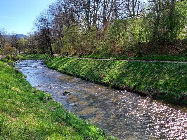 Alterbach  | Foto: H.Bachinger 