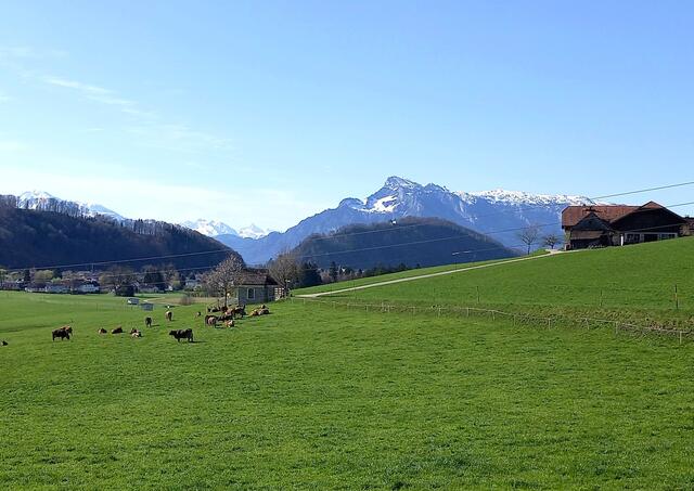 Blick auf Kapuzinerberg und Untersberg  | Foto: H.Bachinger 