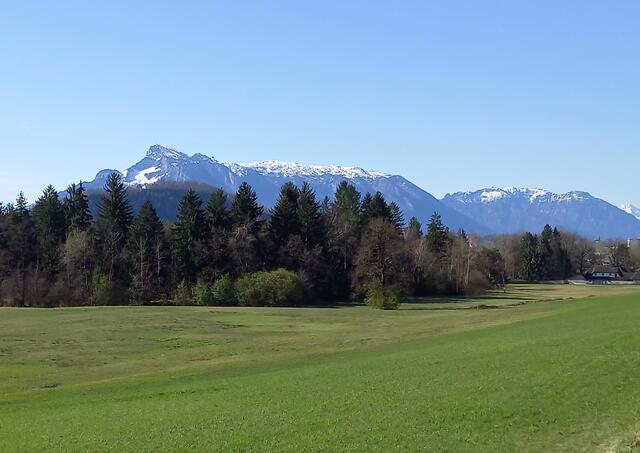 Foto: H.Bachinger 