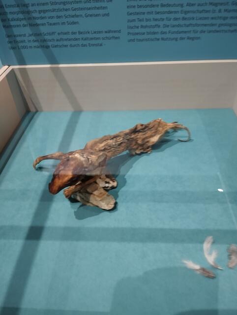 Foto: Veronika Frank