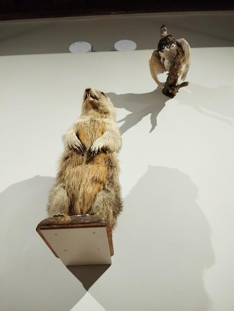 Foto: Veronika Frank