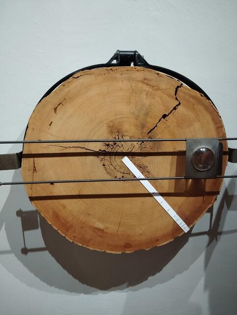 Foto: Veronika Frank