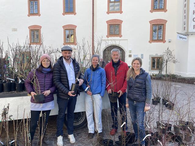 BaumAktion Mehr Bäume für Feldkirchen Feldkirchen
