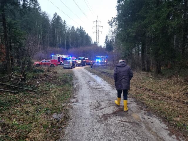 Ölspur auf einer Forststraße im Bad Ischler Ortsteil Kaltenbach. | Foto: Marco Reiter