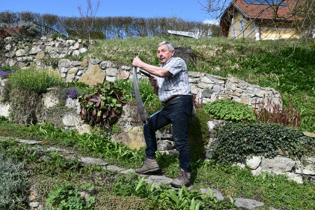 Walter Mayr aus Scheibbs hat keine Probleme wegen Lärmbelästigung in der Nachbarschaft, da er seinen Garten mit der Sense mäht. | Foto: Roland Mayr