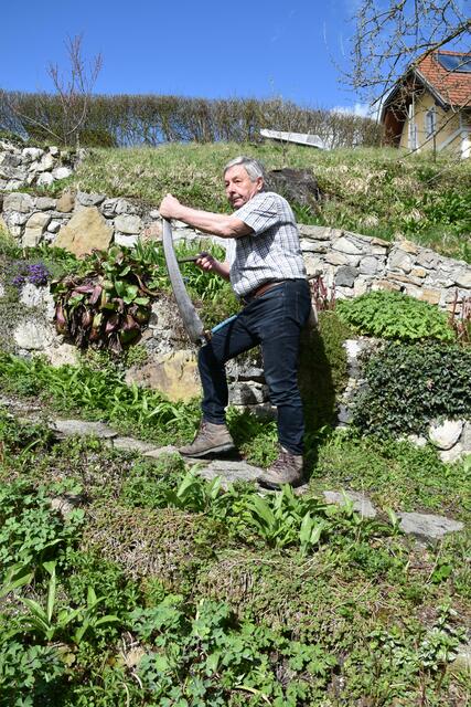 Walter Mayr aus Scheibbs hat keine Probleme wegen Lärmbelästigung in der Nachbarschaft, da er seinen Garten mit der Sense mäht. | Foto: Roland Mayr