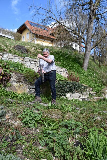 Walter Mayr aus Scheibbs hat keine Probleme wegen Lärmbelästigung in der Nachbarschaft, da er seinen Garten mit der Sense mäht. | Foto: Roland Mayr