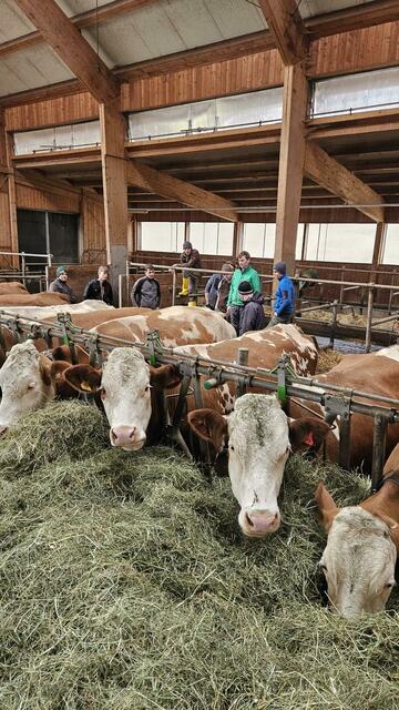 Foto: LFS/ Magdalena Resch