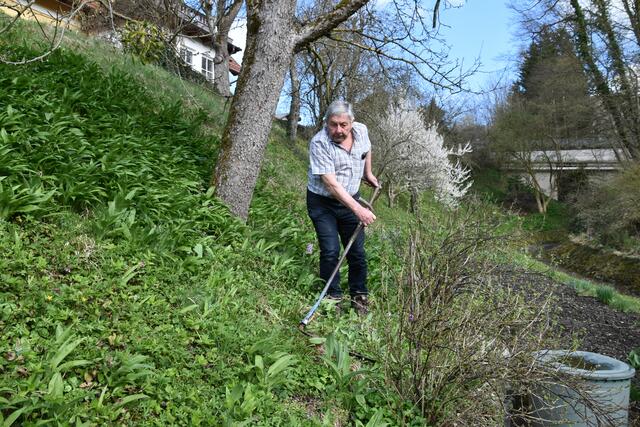 Walter Mayr aus Scheibbs hat keine Probleme wegen Lärmbelästigung in der Nachbarschaft, da er seinen Garten mit der Sense mäht. | Foto: Roland Mayr