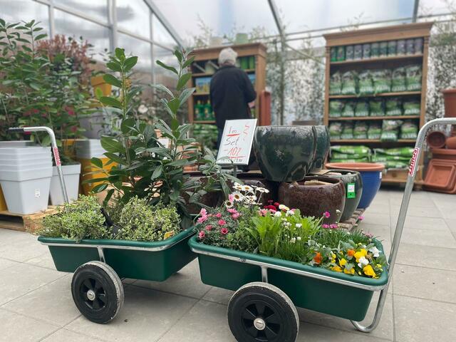 Die Pflanzen kommen direkt vom Produzenten.