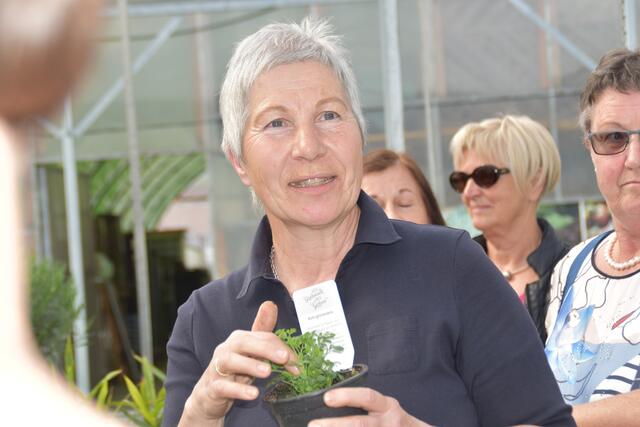 Im Herbst erscheint Romana Seunigs zweites Buch.  | Foto:  RMK/Friessnegg