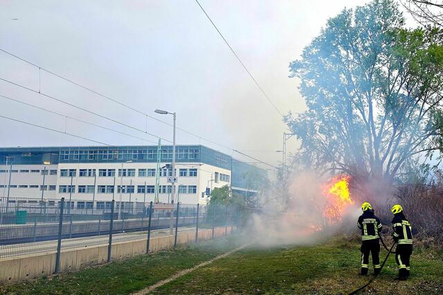 Durch einen Astbruch auf eine Oberleitung der Raaberbahn beim Bundesschulzentrum in Neusiedl war Gefahr im Verzug. | Foto: FF Neusiedl am See