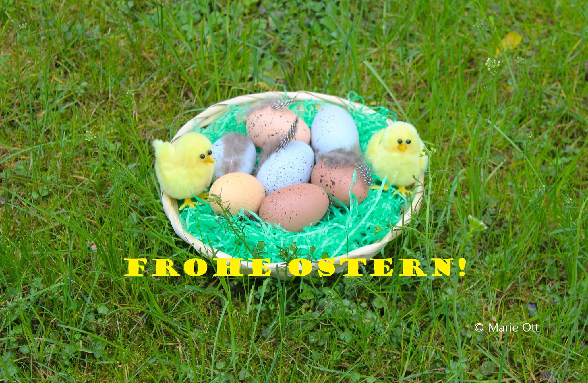 Ostergeschichte: Der Osterhase ist wieder froh! - Graz