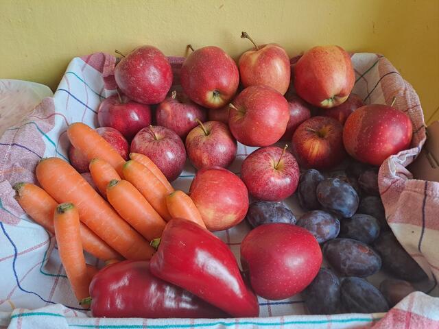 Foto: VS Friedersbach