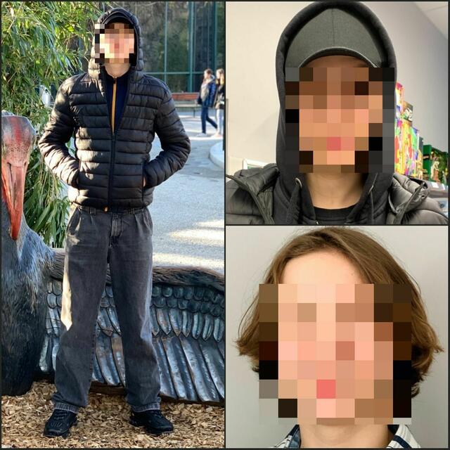 Laut der Online-Plattform "Österreich findet euch" wird der 15-jährige Marleon R. seit einigen Tagen in Wien vermisst. | Foto: Österreich findet euch