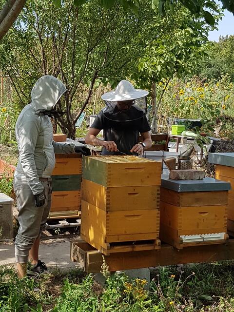 Viele Imkerinnen und Imker gehören zur "Projekt 2028" Community.  | Foto: Hektar Nektar