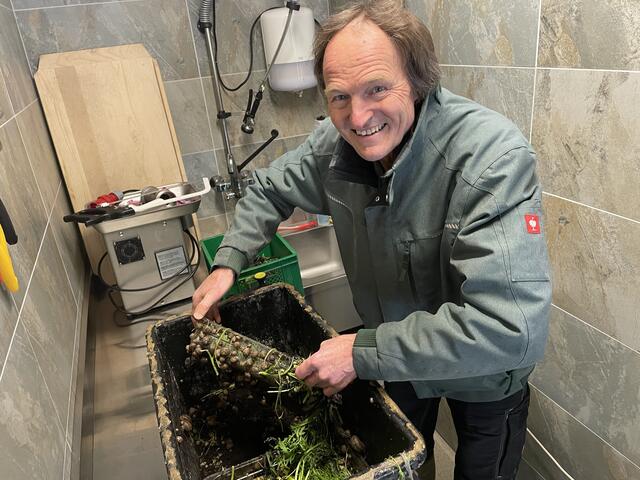 Martin Traxler mit den noch übrig gebliebenen rund 1.000 Schneckenbabys. Sie werden demnächste ins Außengehege übersiedeln.   | Foto: Koidl
