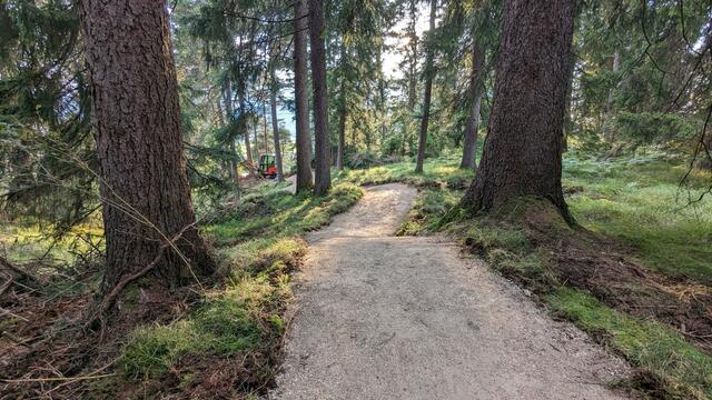 Vier verschiedene Lines mit Namen wie "D'Gmiatliche Line", "D'Oachkätzla Line", "D'Bockige Line" und "Dr'Sauzeacha Trail" wurden in der Trailarea Urisee errichtet. | Foto: MTBausserfern
