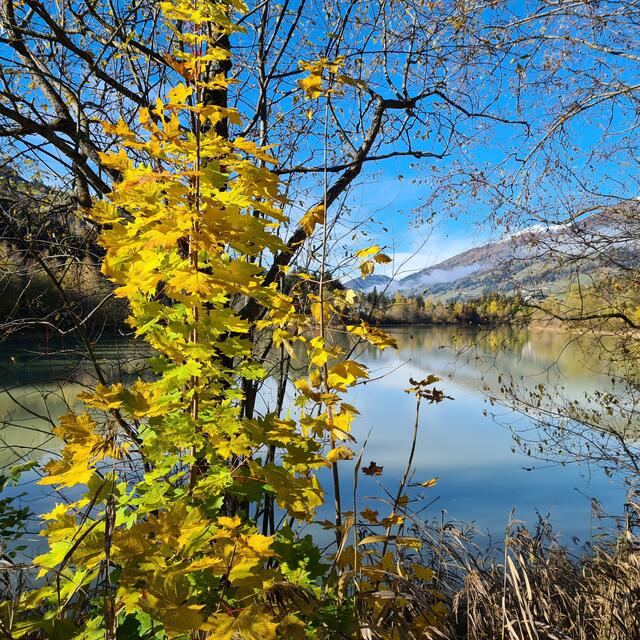 Der Tassenbacher Speicherteich im Herbst. | Foto: Markus Kozubowski