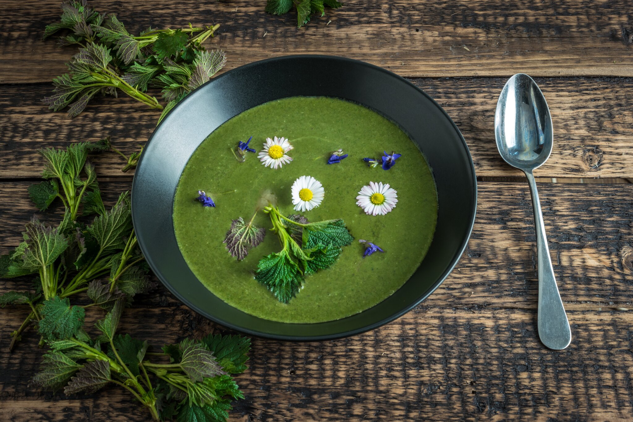 Rezept: Cremige Brennnesselsuppe – Regionales Superfood - Spittal Rezept: Cremige Brennnesselsuppe – Regionales Superfood - Spittal