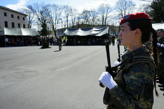Foto: BMLV/Michael Schwarzl
