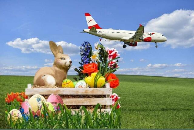 Die Austrian Airlines streikt? Kein Problem. So verbringst du ein perfektes Osterwochenende in Niederösterreich. | Foto: Collage Pixabay