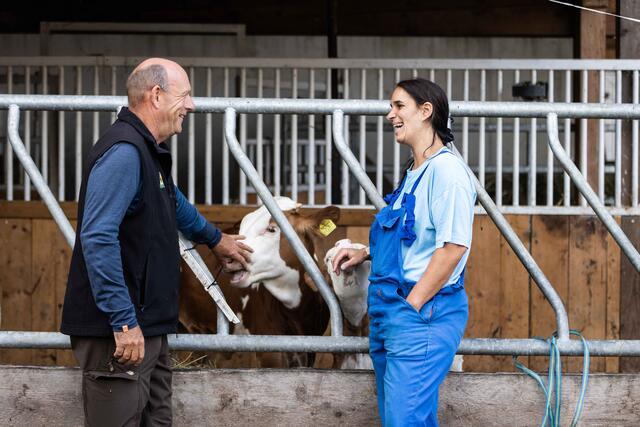 Als Tierarzt ist das Aufgabenfeld breit gefächert - mit VetINNSights gibt es erste Einblicke. (Im Bild: Amtstierarzt an der BH Schwaz im Gespräch.) | Foto: Land Tirol/Simon Rainer