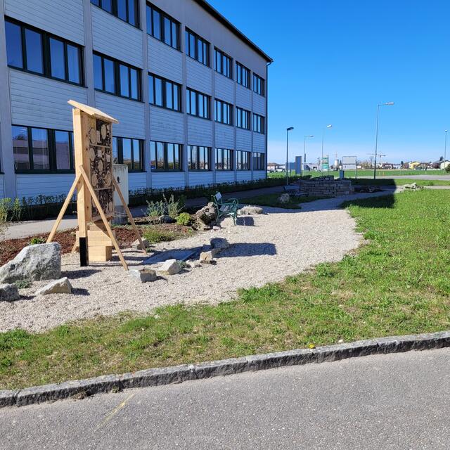 Die Grüninsel im Bereich des Perger Schulzentrums vor der HAK Perg wurde neu gestaltet. | Foto: Stadtgemeinde Perg