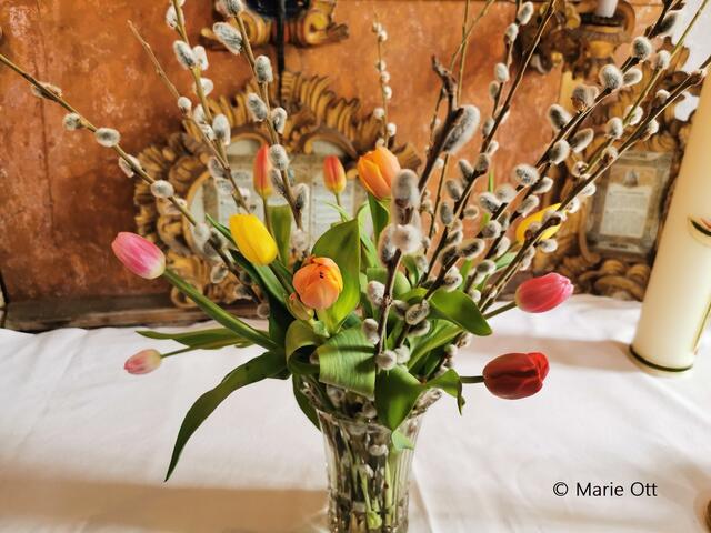 Fleischweihe, Rubertikirche Graz, 2024