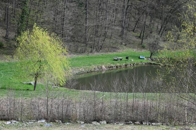 Wieder der obere Teich, die Sonne kommt etwas heraus