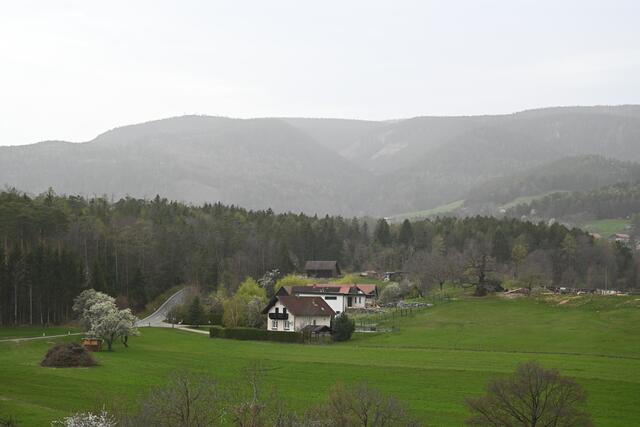 Blick Richtung Bürg, vom Wanderweg zum Schloss Vöstenhof