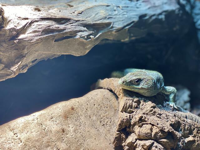 Foto: Alejandra Ortiz