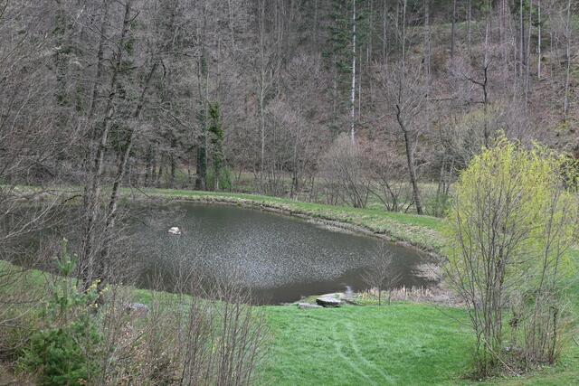 Der obere Teich