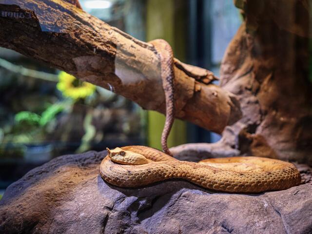 Foto: Alejandra Ortiz