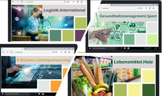 Die Wirtschafts.Akademien.Waldviertel bieten die vier Schwerpunkte: Logistik.International, Gesundheitsmanagement.Sport, E-Business-Entrepreneurship und Lebensmittel.Holz. | Foto: hakzwettl