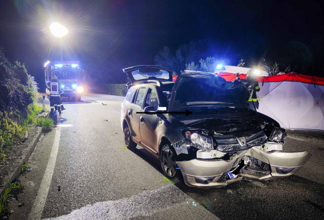 Foto: Pressefoto Scharinger