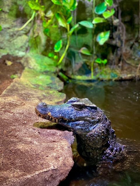 Foto: Alejandra Ortiz