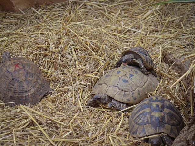 Foto: Alejandra Ortiz