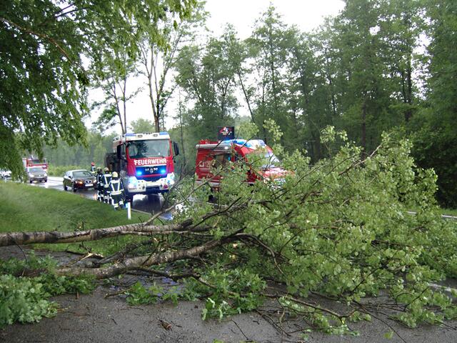Sturmschäden | Foto: Archiv