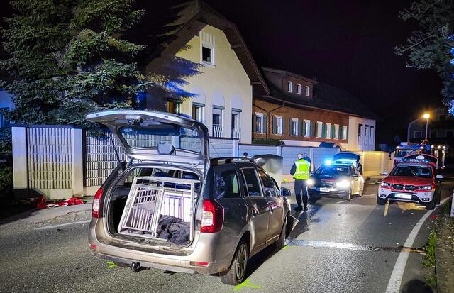 Foto: Pressefoto Scharinger