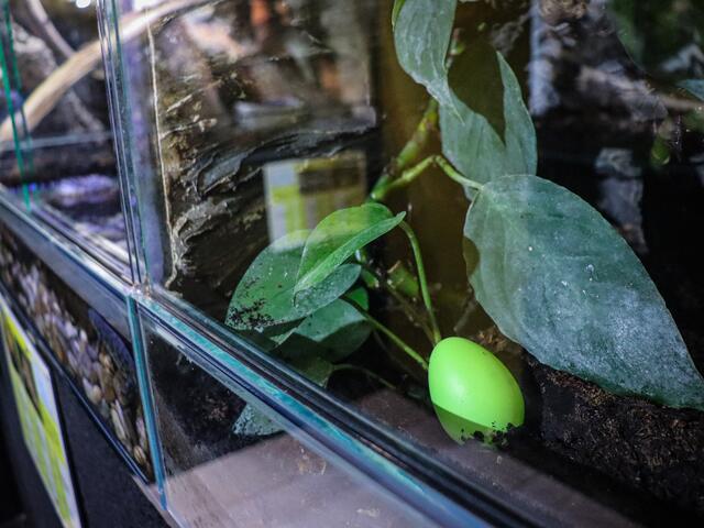 Foto: Alejandra Ortiz