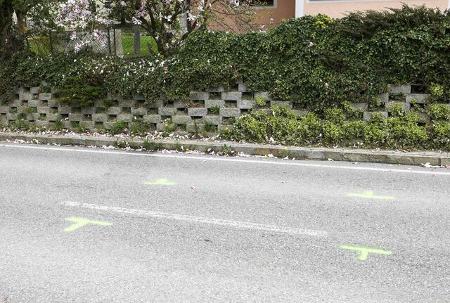 Foto: Pressefoto Scharinger