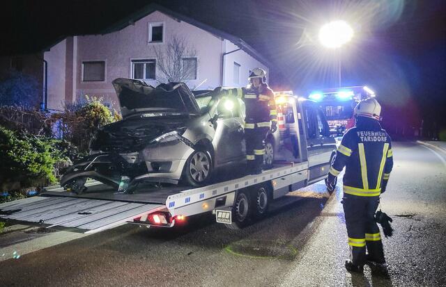 Foto: Pressefoto Scharinger