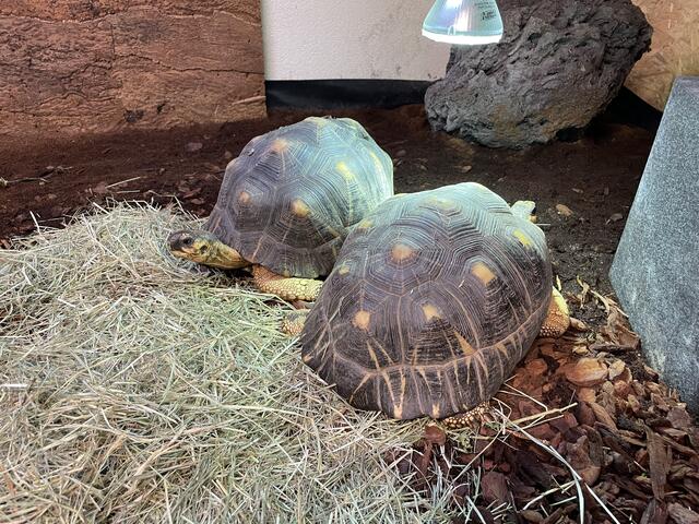 Foto: Victoria Edlinger