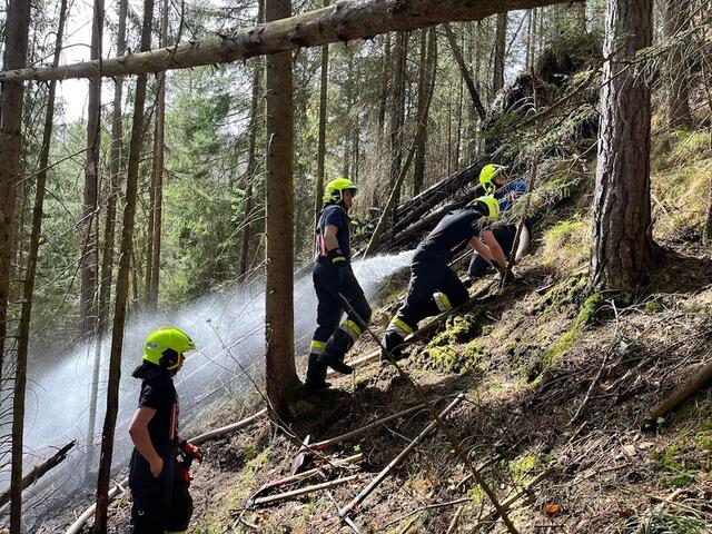 Waldbrand in Krampen bei Neuberg. Mehr als 200 Feuerwehrmitglieder waren am Löscheinsatz beteiligt. | Foto: BFVMZ 