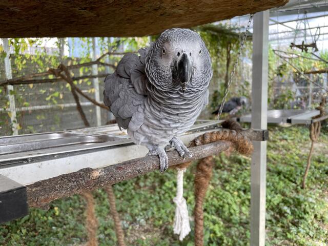 Foto: Victoria Edlinger